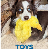 Crinkle Dog Toy For Small Medium And Large Breeds