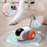 Self-moving Remote Control Car Interactive Pet Toy