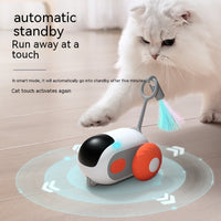 Self-moving Remote Control Car Interactive Pet Toy