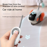 Self-moving Remote Control Car Interactive Pet Toy