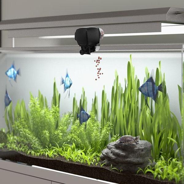 Digitaler automatischer Futterspender für Aquarienfische