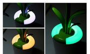 Modern Desk Lamp