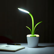 Modern Desk Lamp