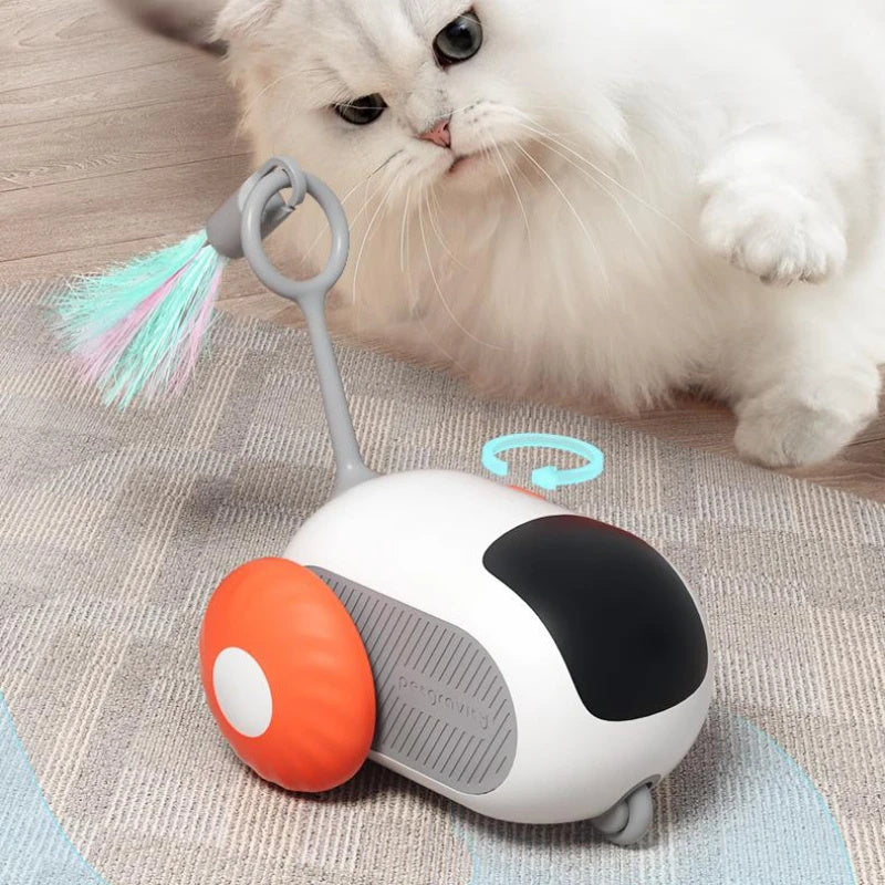 Self-moving Remote Control Car Interactive Pet Toy
