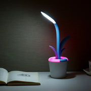 Modern Desk Lamp