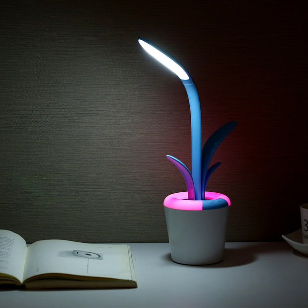 Modern Desk Lamp