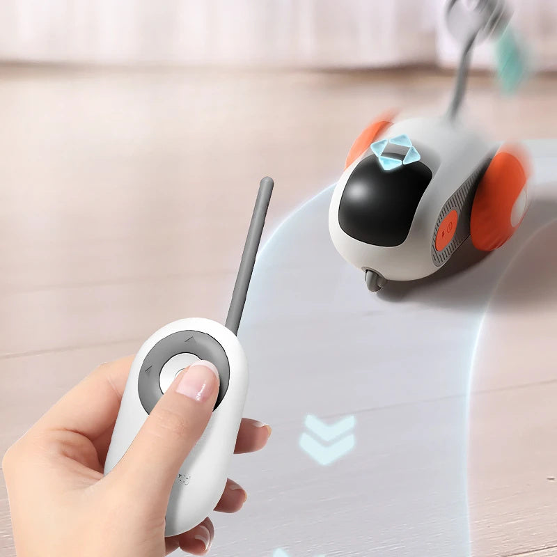 Self-moving Remote Control Car Interactive Pet Toy